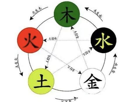 紫字五行|紫字的五行是什么,紫的五行属性及吉利寓意